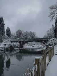 我在這裡看到了大雪紛飛這裡雪超厚