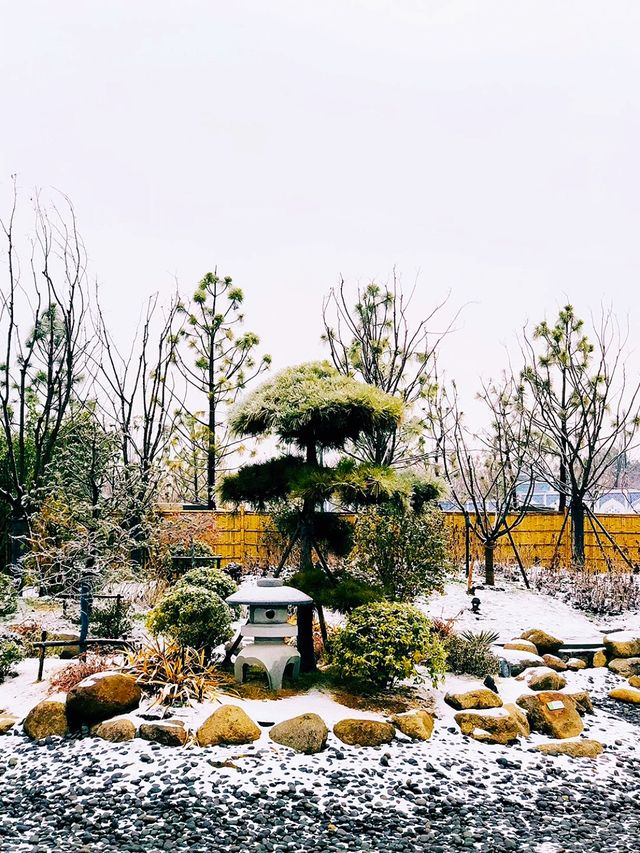 合肥第一個國外友好城市日本久留米園雪景