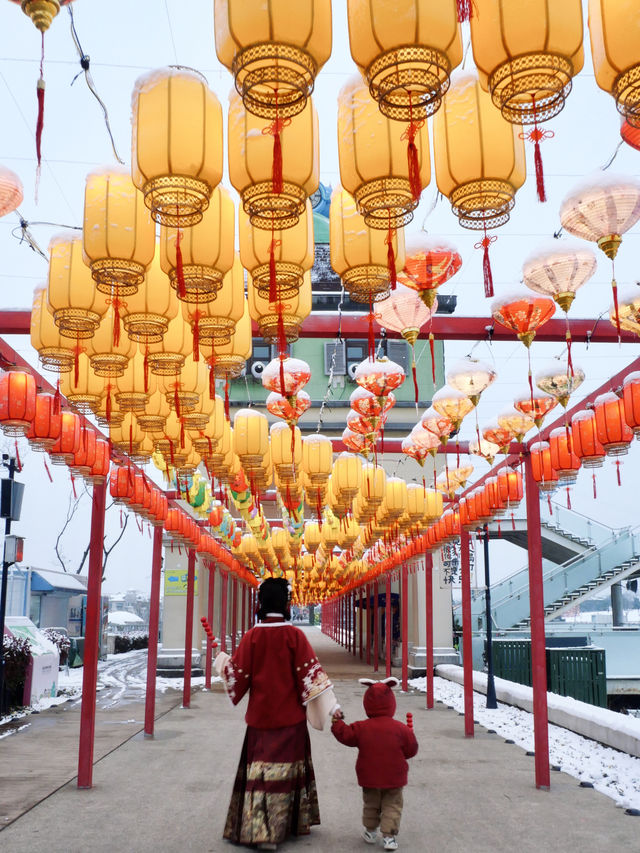 啊啊啊美哭合肥萬國燈會真的要封神了
