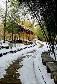 《雪後出遊竹泉村》