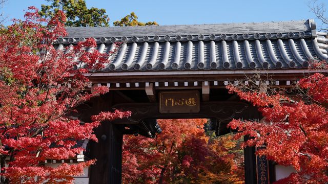 京都頭牌紅葉賞秋名所