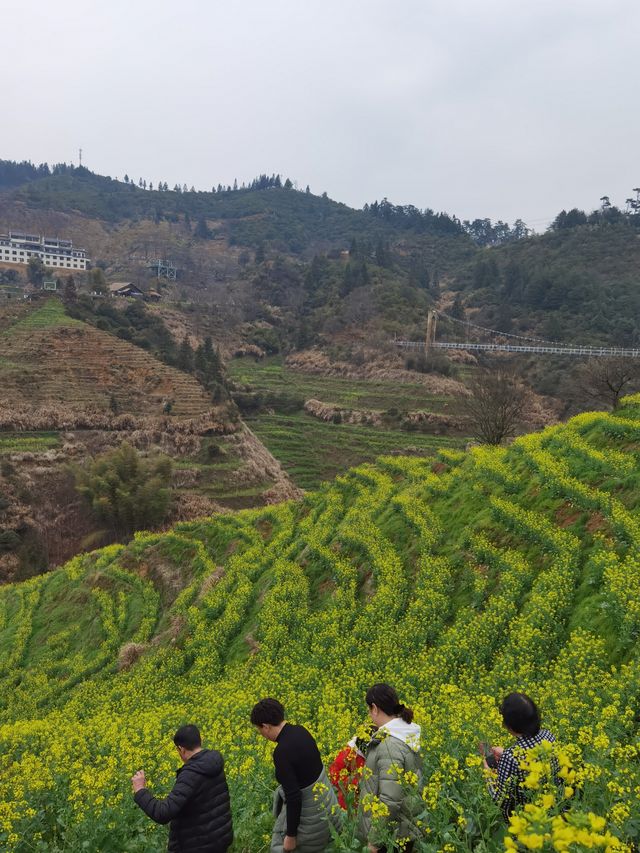 迷人的婺源篁嶺