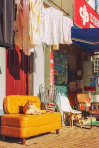 Shanghai's Most Endearing Street—Huangdu Road