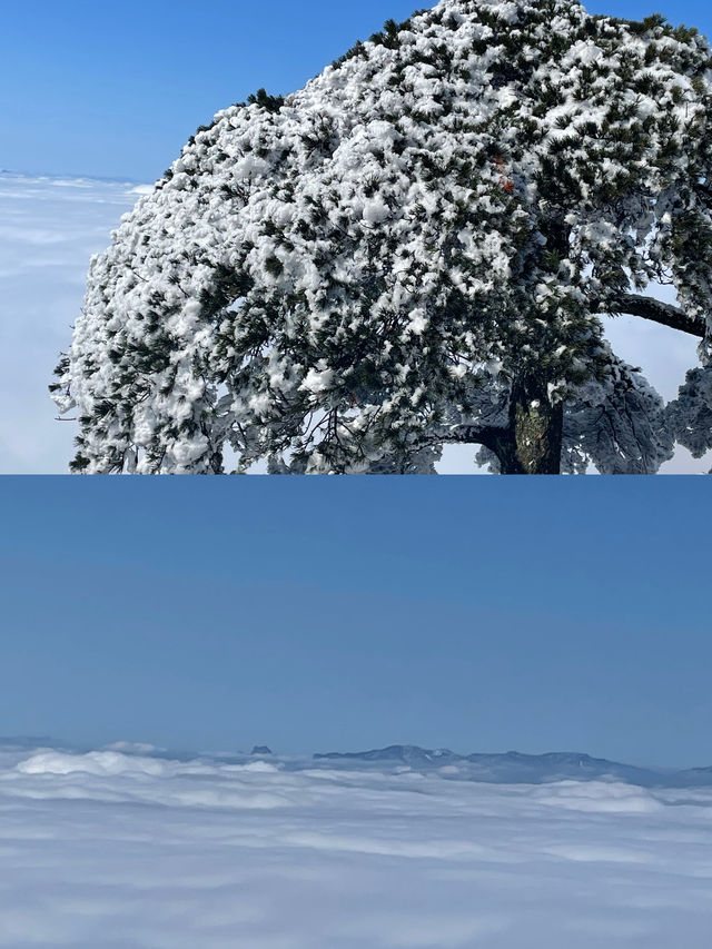 天柱山｜不用跑遠去北方，南方人也可以在南方看雪啦！