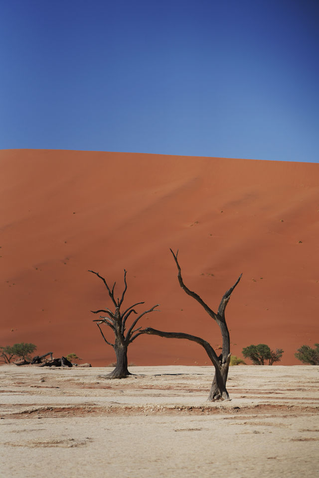 納米比亞紅沙漠野奢玩兒法你該知道的N件事！
