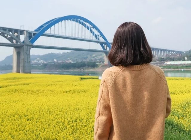 宜賓城邊的油菜花海，叙永區雪灘公園賞花去