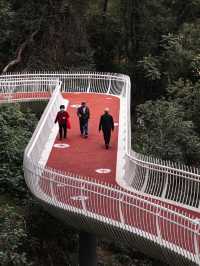 逛公園才是正經事啊！！