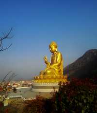 問爆了的大伊山風景區攻略人均才60塊