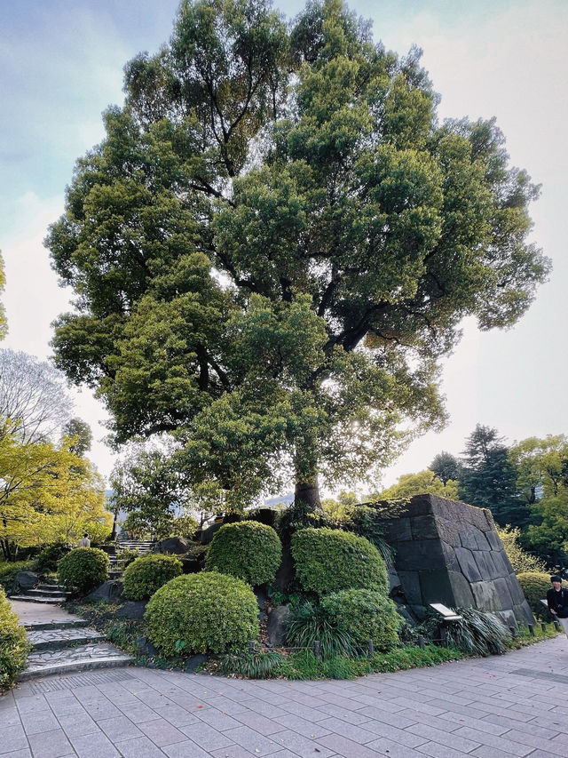 東京行｜城市中心的心願公園，打卡日比谷公園！