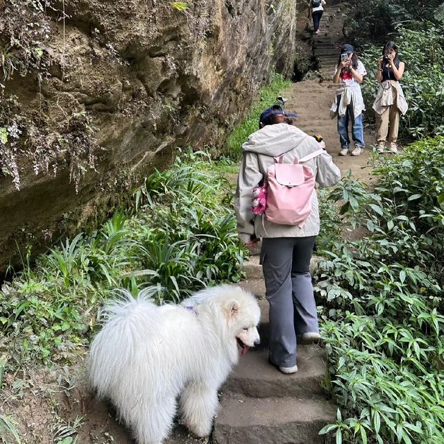 成都周邊重返侏羅紀時代