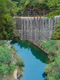 大奇山森林公園