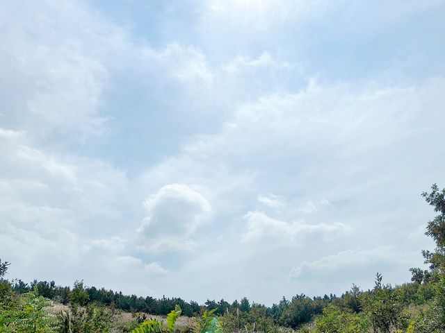 感受大自然的鬼斧神工-大連瓦房店排石景區探秘