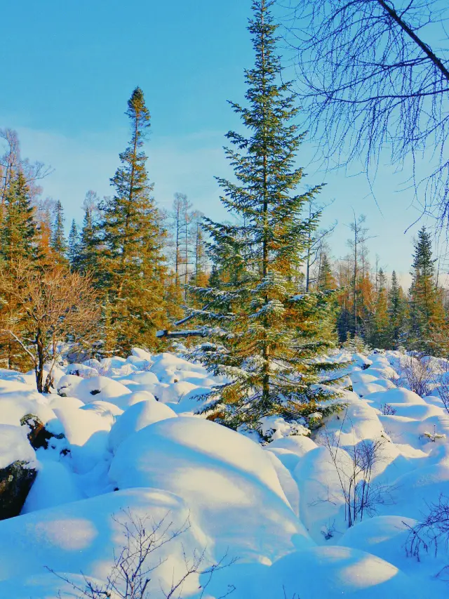 If you don't want to choose the crowded Harbin in winter, then come to Yichun!!