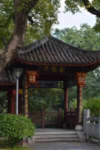 探索南寧人民公園：自然與歡樂的融合