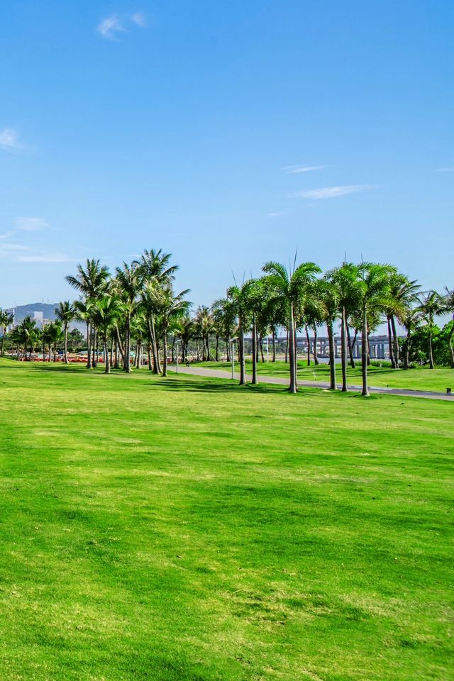 地鐵直達的海邊大草坪前海演藝公園攻略