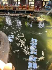 北京南宮五洲植物樂園｜鳥語花香