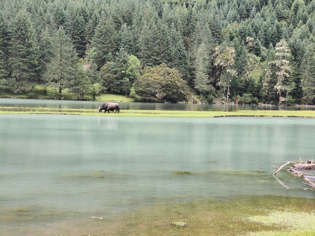 雨後月亮湖