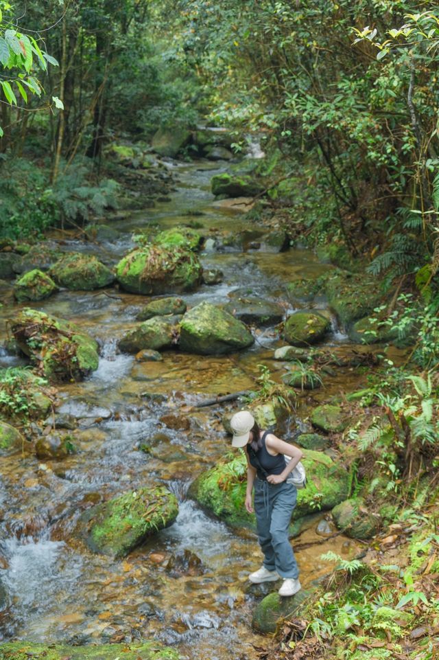 廣東周邊反向旅遊宮崎駿童話小眾避世勝地|||