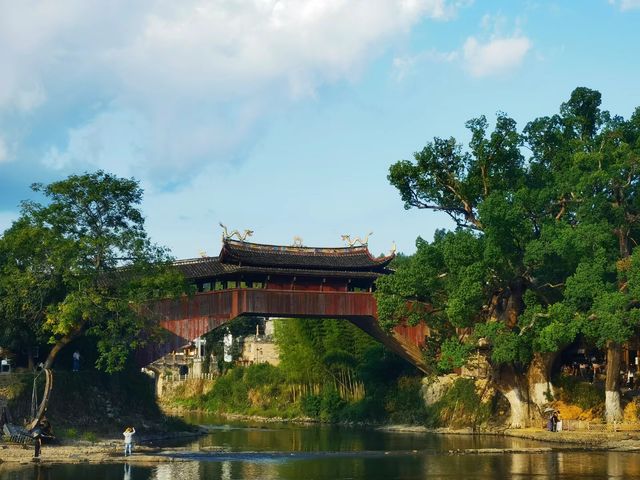 泰順旅遊推薦