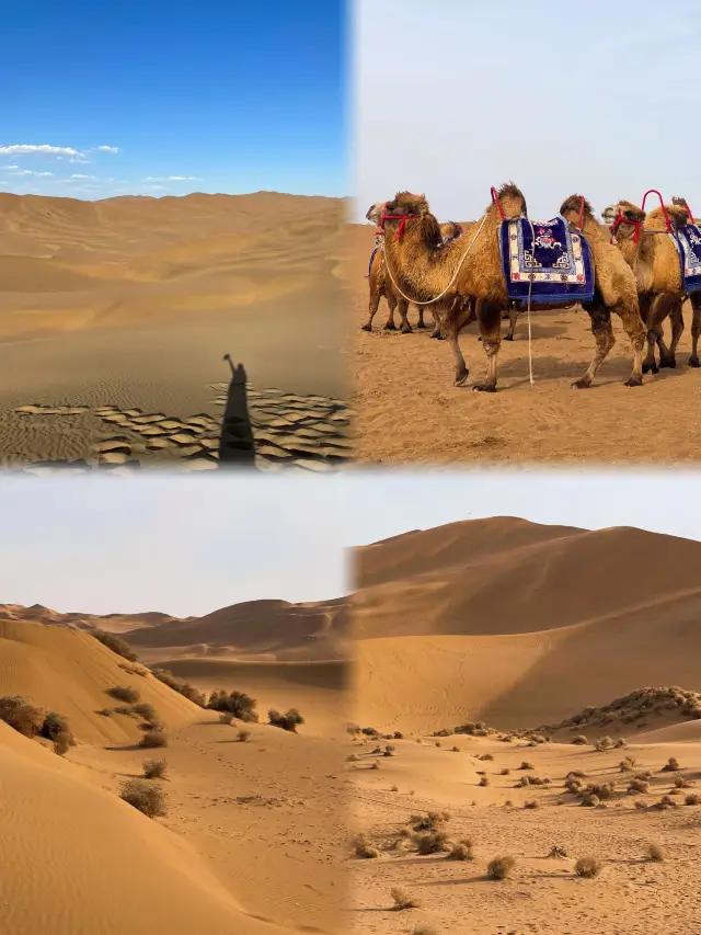 Imagine standing at the edge of a city, facing a golden sea of sand