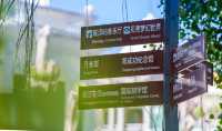 鼓浪屿夏日攻略，解锁炫酷岛屿玩法！