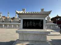 春回大召，陽光正好