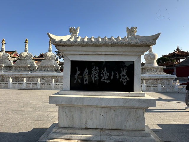 春回大召，陽光正好