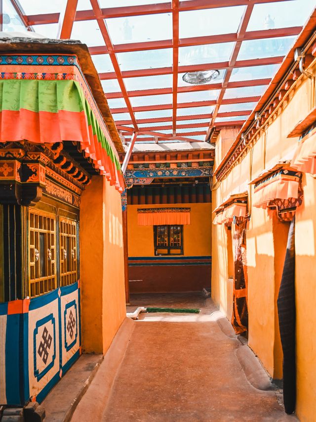 西藏避暑遊｜山南citywalk澤當寺