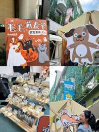 上海citywalk 在這小巷子狂拍100張