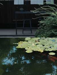 崇明島最佳民宿體驗也山花園