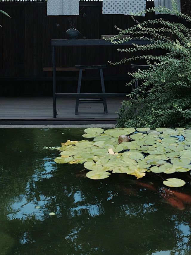 崇明島最佳民宿體驗也山花園