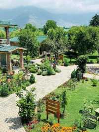 🌸 Srinagar's Serene Stay: Orchard Retreat & Spa 🌸