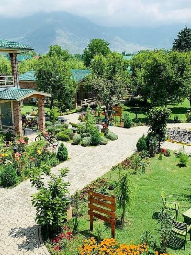 🌸 Srinagar's Serene Stay: Orchard Retreat & Spa 🌸