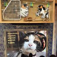 Visit a stationmaster cat!
