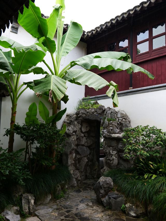 雨後漫步，夏日古典園林景觀大賞