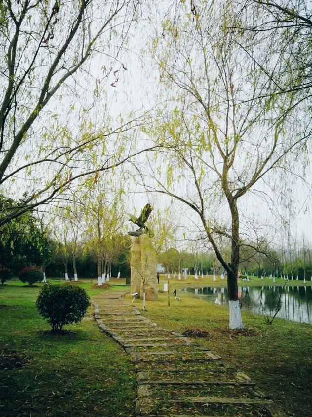 長沙周邊遊——洋湖濕地公園
