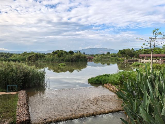 開遠鳳凰濕地公園