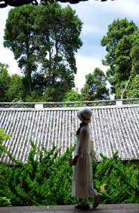 大理小眾旅拍絕佳勝地|巍寶山