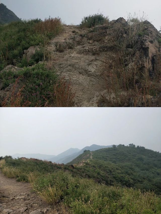 濱州鄒平市鶴伴山國家森林公園
