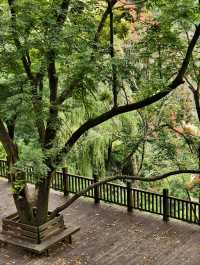 在貴陽｜挺有意境的鎮山村