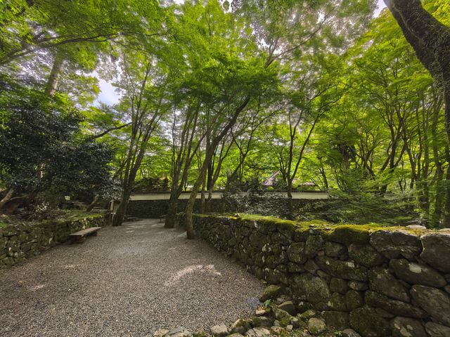 京都十七處世界文化遺產之一:高山寺