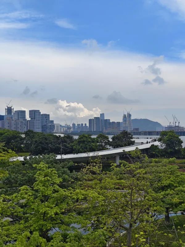 🎡 深圳歡樂港灣｜海邊的浪漫樂園 🏖️
