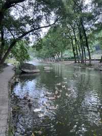 江浙沃周邊遊，溯溪玩水值得一去的避暑古村。