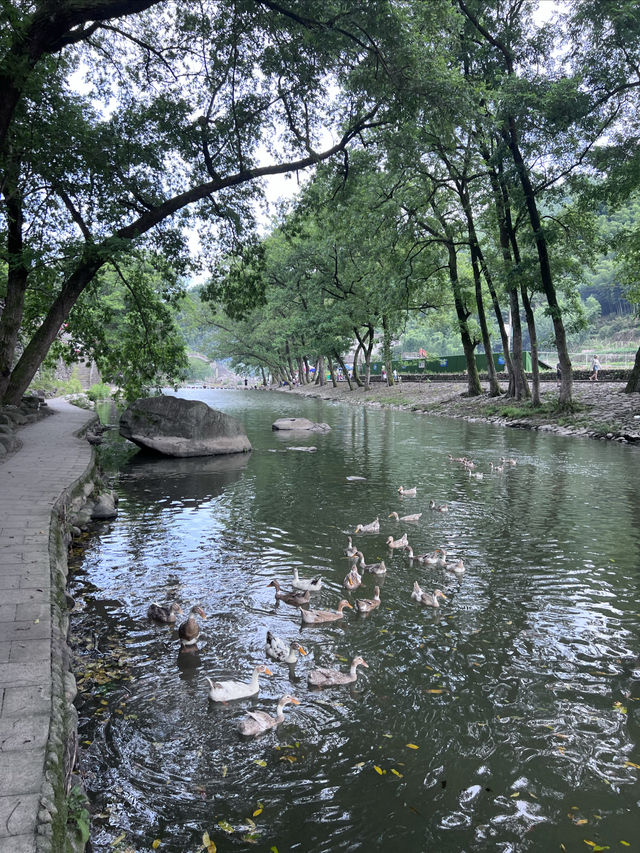 江浙沃周邊遊，溯溪玩水值得一去的避暑古村。