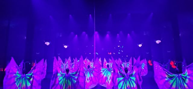 杭州最美表演。