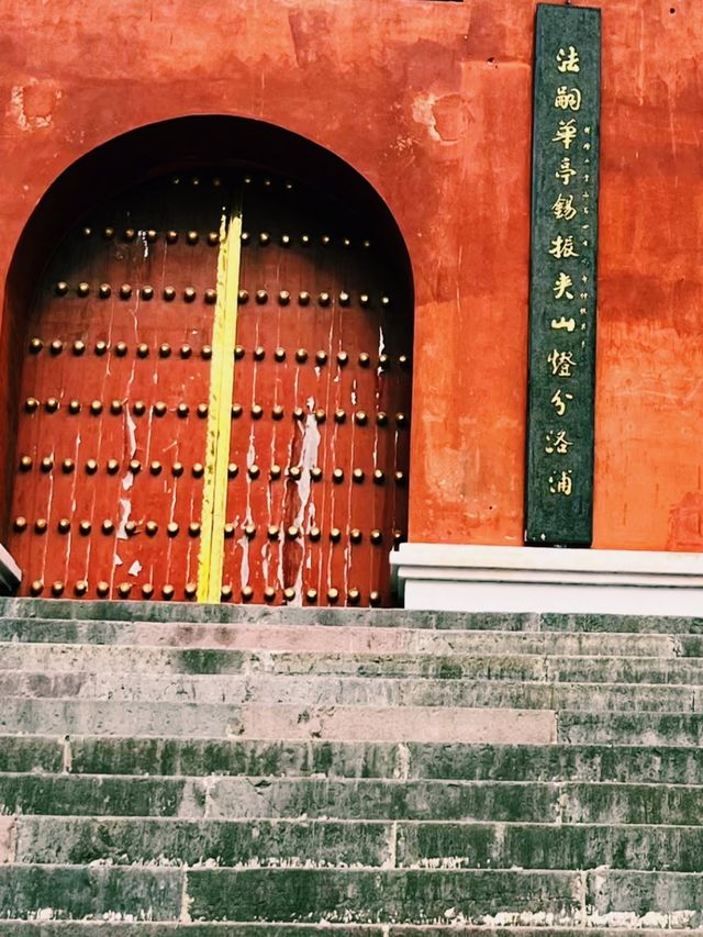 霜染紅葉，潑染山紅，景色瑰麗如畫。