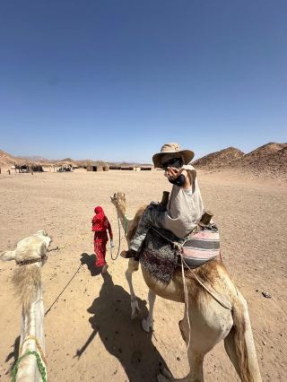 埃及已回歸 你想知道的都在這一篇。
