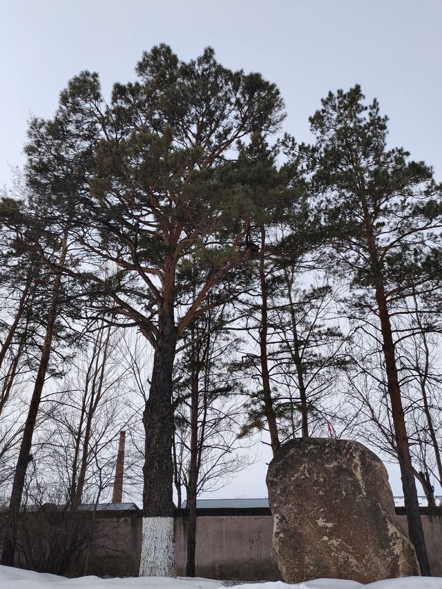 瑷珲歷史陳列館。