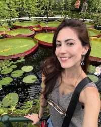 皇后公園植物園：花卉王國中的靜謐綠洲 。