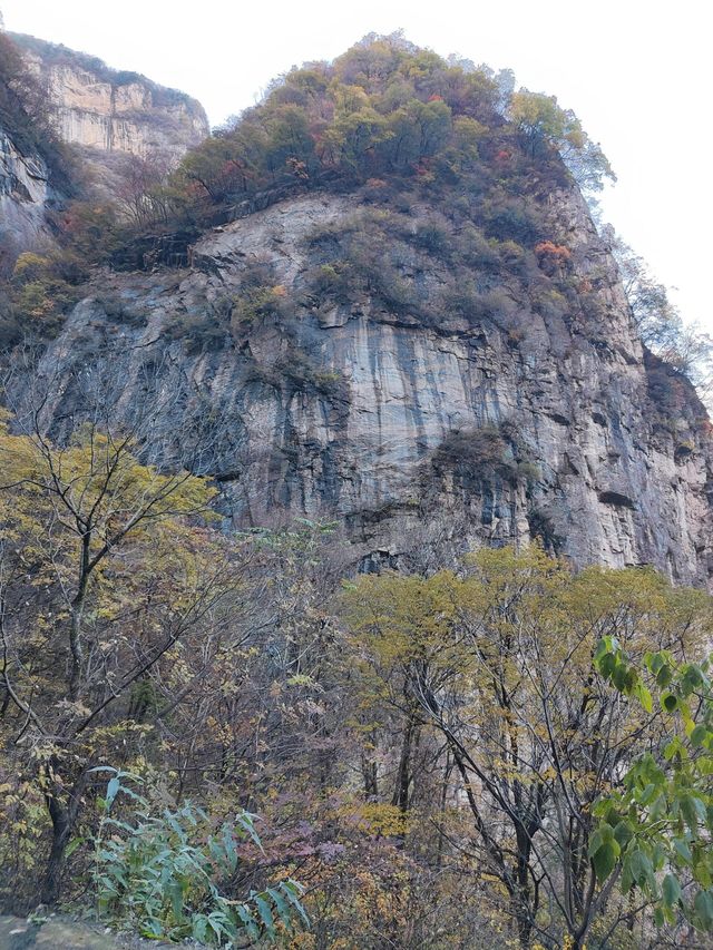 陝西西安|太平國家森林公園。